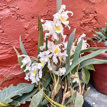 Bhattidanda Fresh & Natural Homestay Dhulikhel Esterno foto