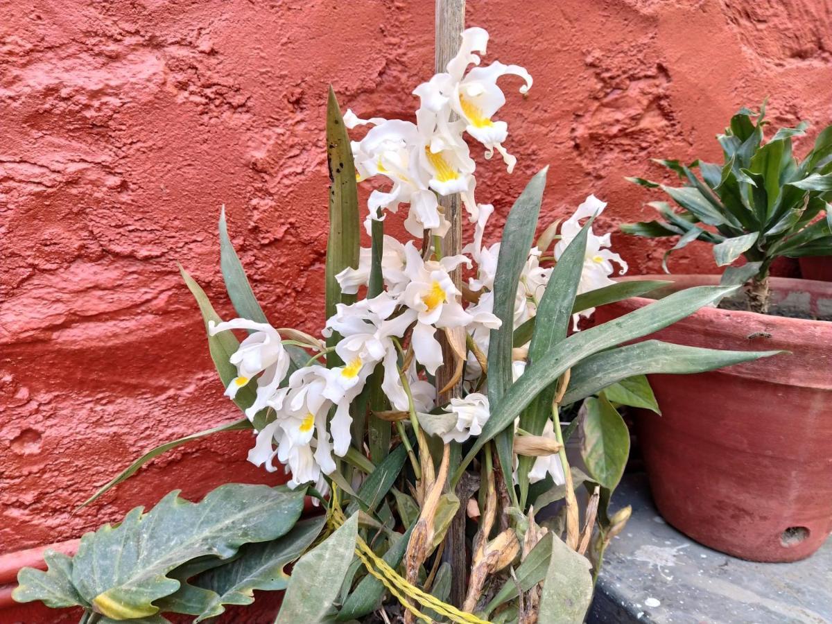 Bhattidanda Fresh & Natural Homestay Dhulikhel Esterno foto