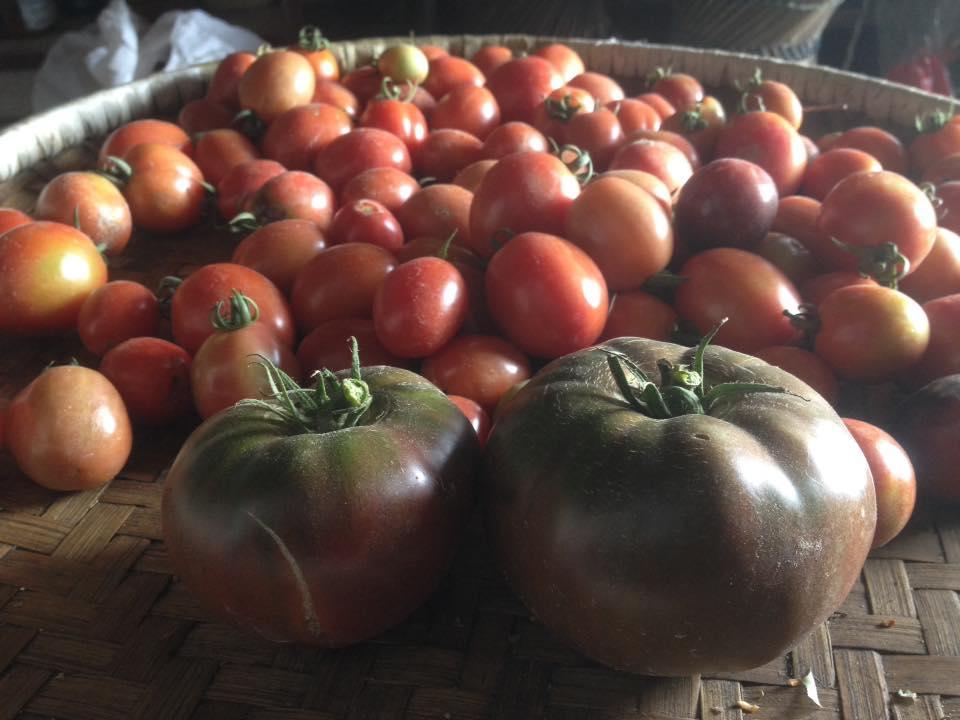 Bhattidanda Fresh & Natural Homestay Dhulikhel Esterno foto