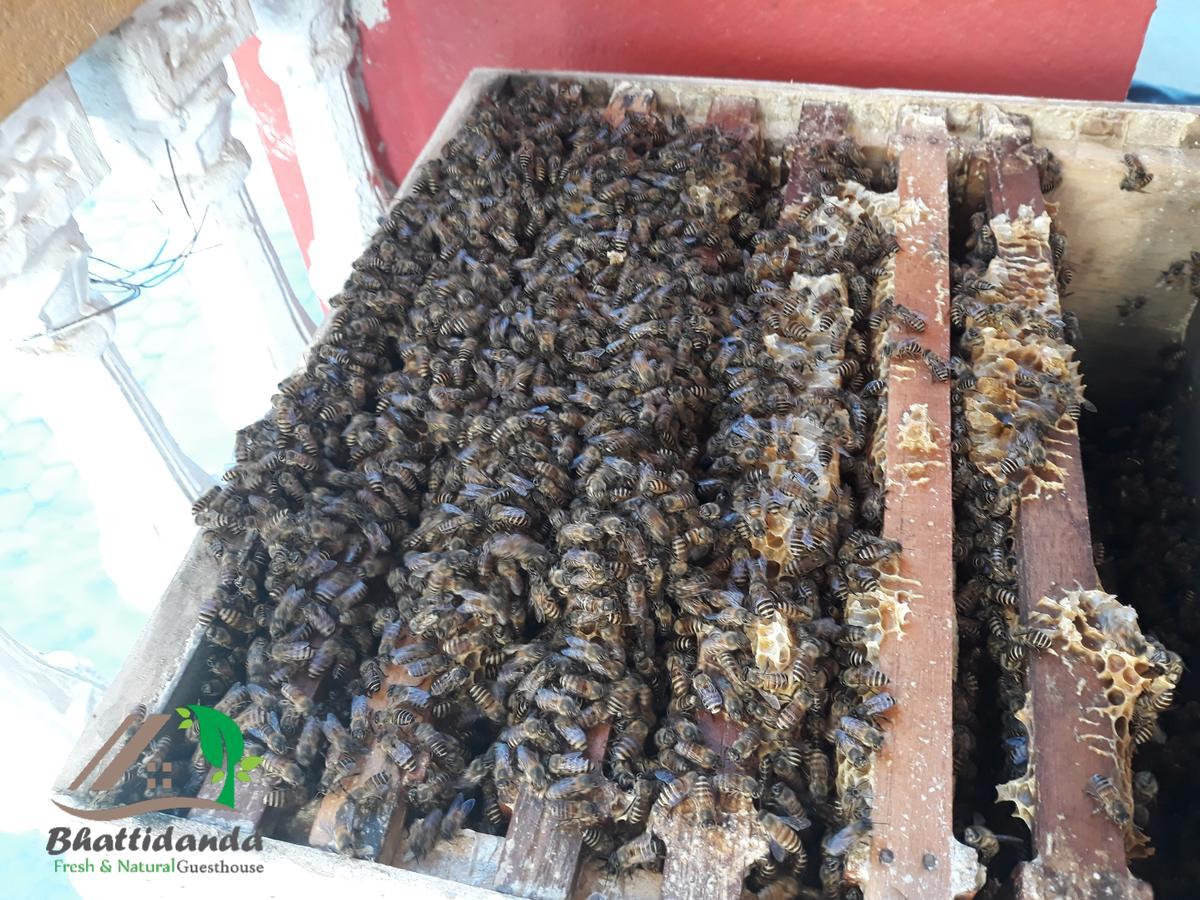 Bhattidanda Fresh & Natural Homestay Dhulikhel Esterno foto
